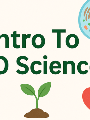 special offer courses